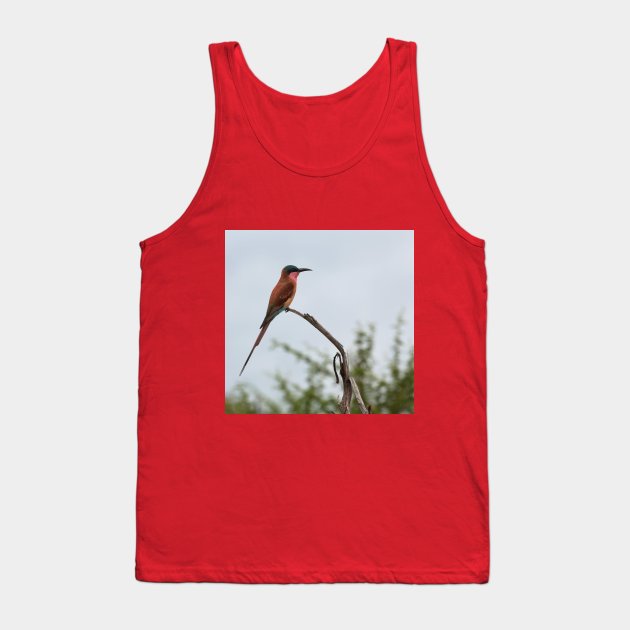 Southern Carmine Bee-Eater Tank Top by yairkarelic